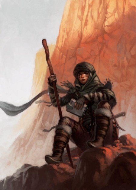 Странник днд