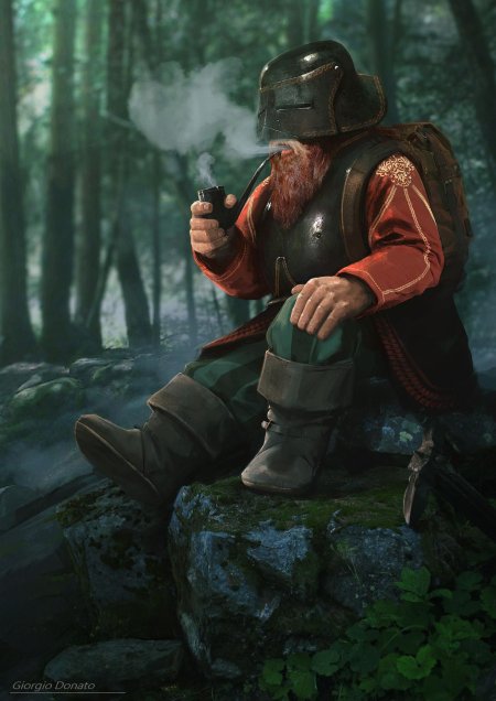 Дворф путешественник арт