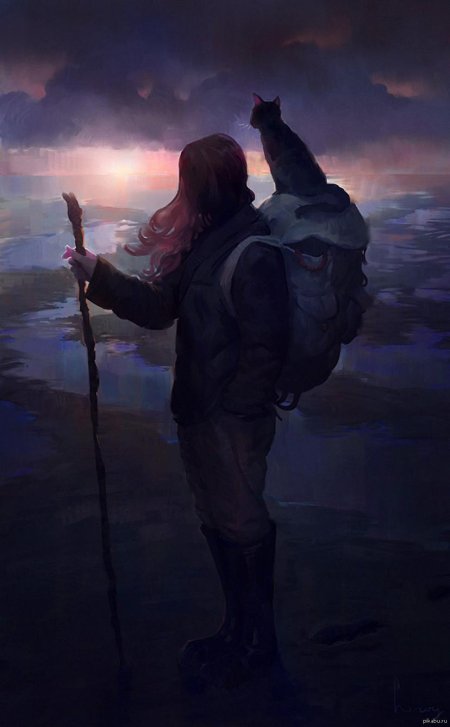 Одинокий странник