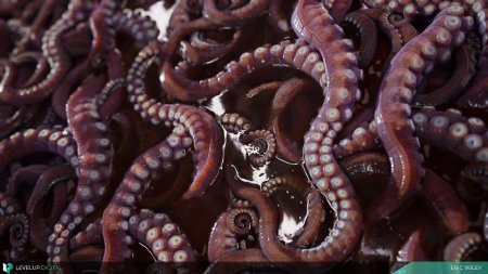 Щупальца спрута