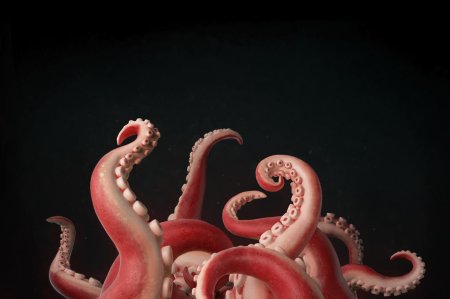 Мультяшный осьминог