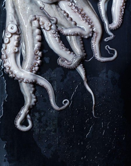 Приготовленный осьминог