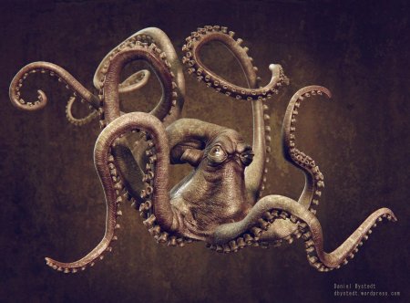 Головоногий моллюск кракен