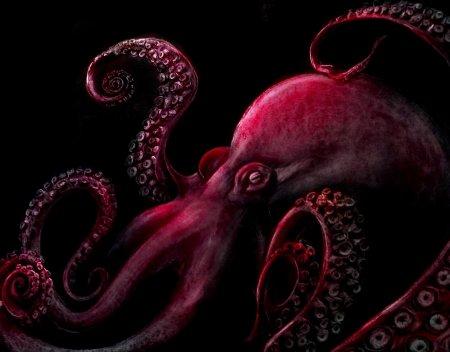 Осьминог красный