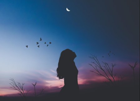 Девушка силуэт