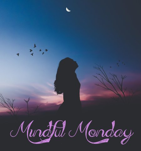 Текста песен