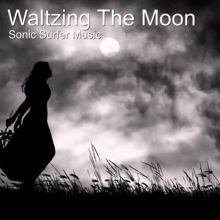 Силуэт в ночи