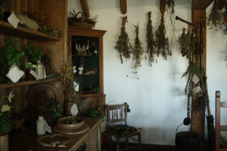 Дом травницы