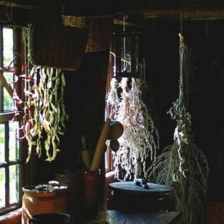 Дом ведьмы / ведьм ведьмин witchouse