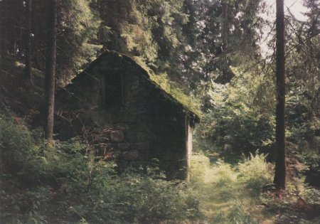 Домик в лесу