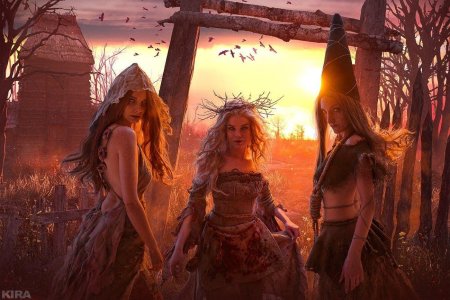 Ведьмак ведьмы хозяйки леса