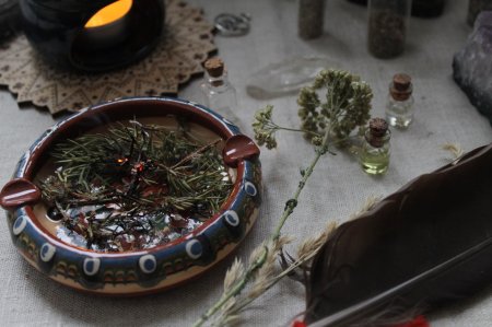 Ведьмины травы