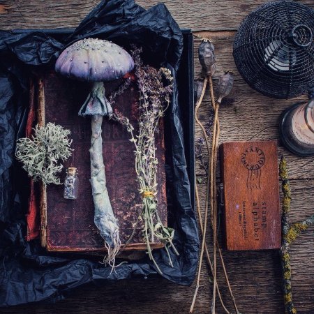 Обитель лесной ведьмы травник