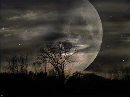 Лунная ночь