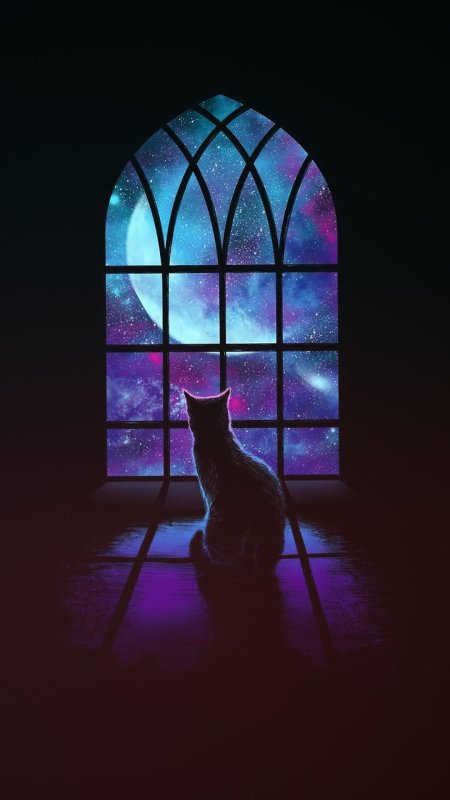 Кот на окне арт