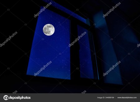 Ночь с луной