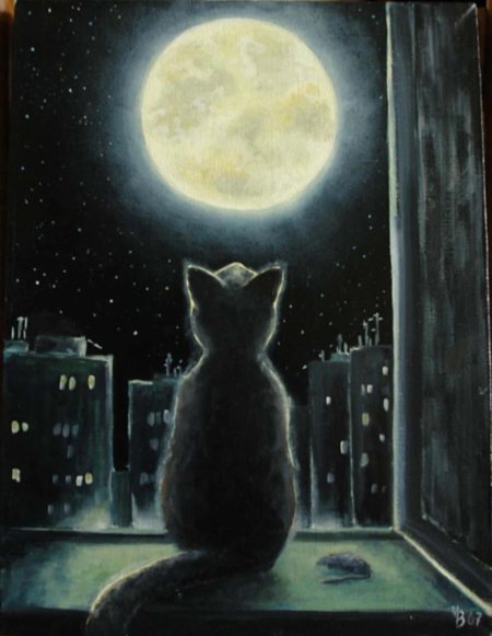 Лунные коты