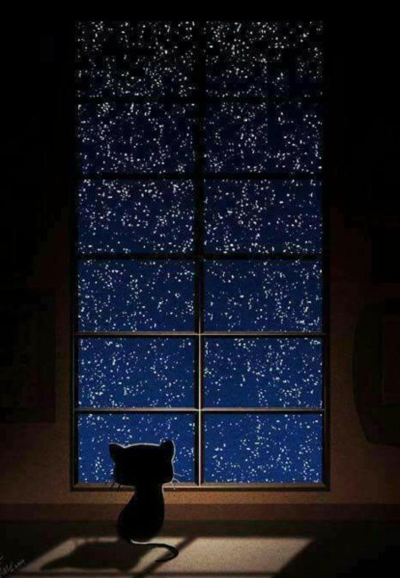 Окно ночь звезды