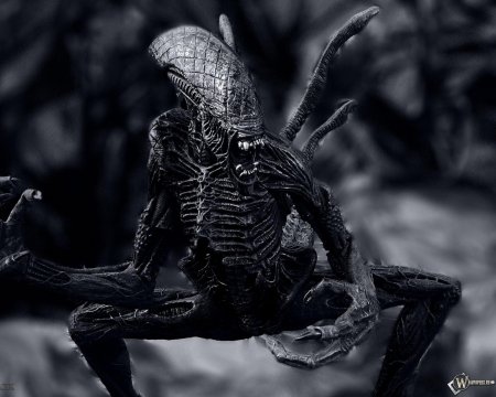 Монстр чужой