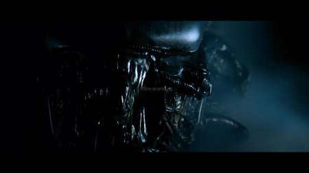 Чужие против хищника