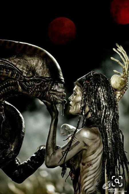 Ксеноморф чужой против хищника