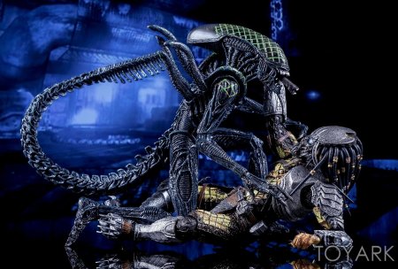 Чужой против хищника