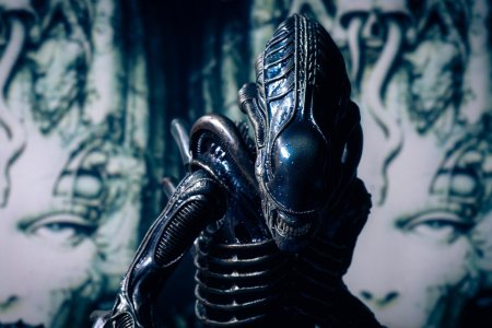 Чужой ксеноморф