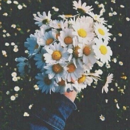 Букет из ромашек