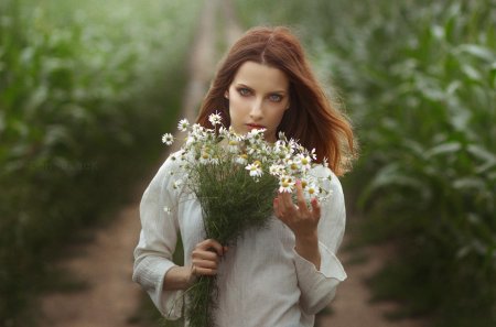 Букет ромашек полевых