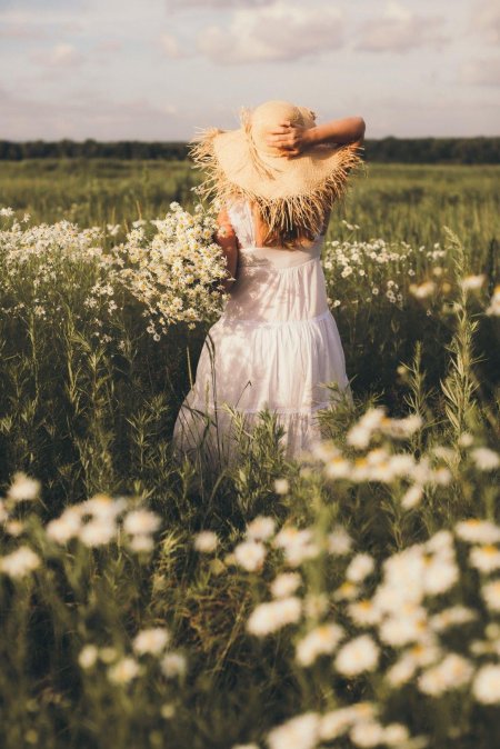 Фотосессия в ромашковом поле идеи