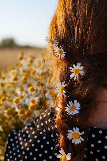 Фотосессия в поле с ромашками