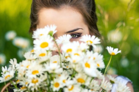 Ромашковое поле