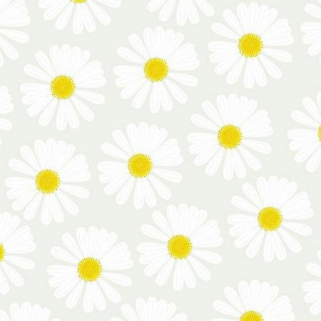 Ромашка фон