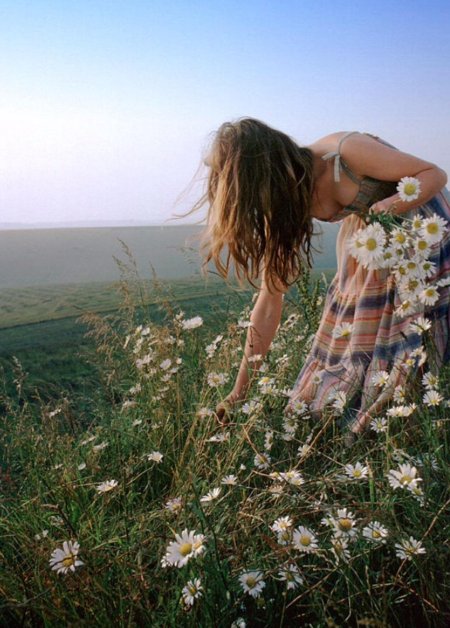 Ромашковое поле