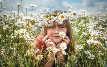 Поле ромашек