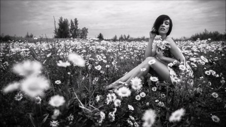 Цветок в поле