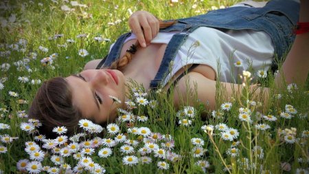 Ромашковое поле