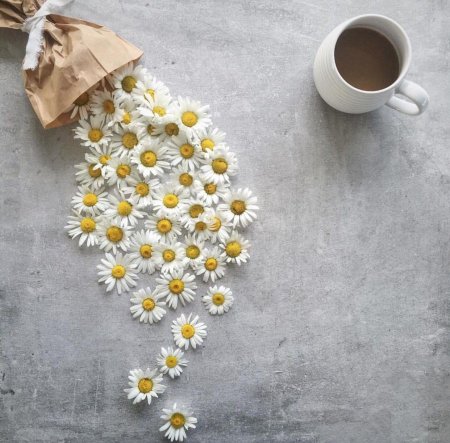 Доброго утра с ромашками