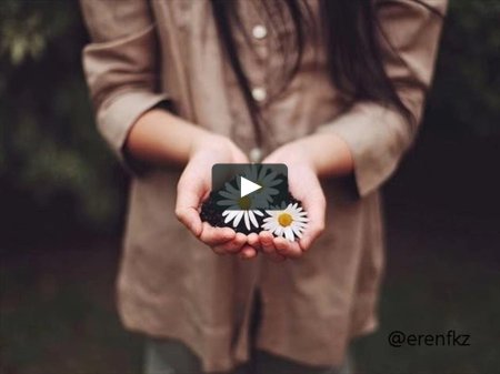 Цветок в руках