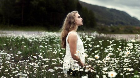 Фотосессия с ромашками в поле