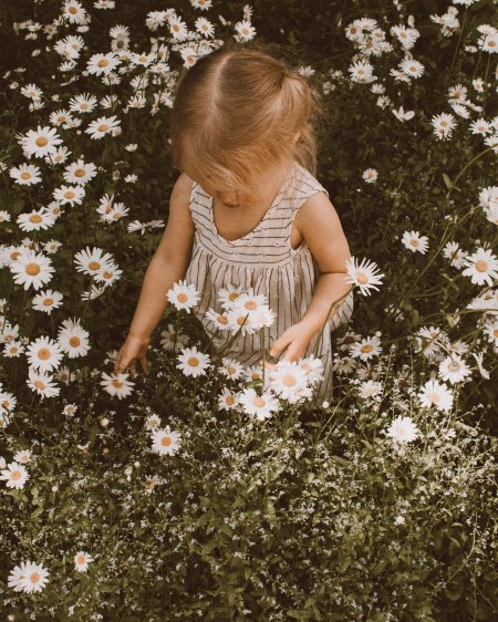 Фотосессия в ромашках
