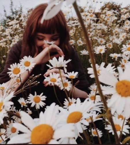 Эстетика ромашек