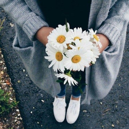 Цветы современные