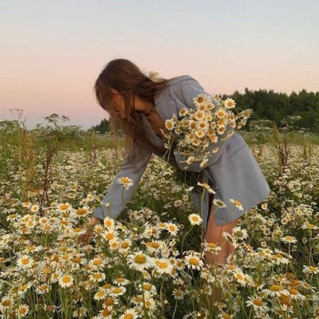 Фотосессия в ромашках идеи
