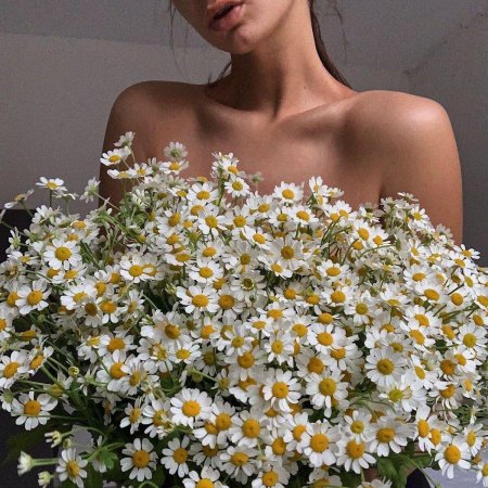 Букет ромашек красивый