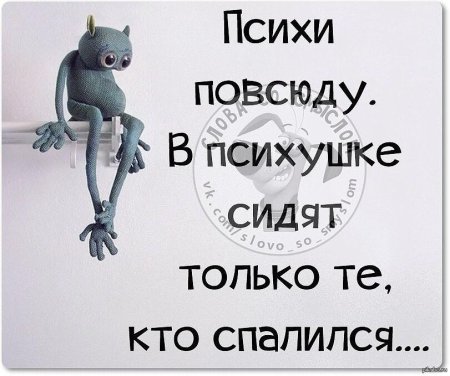 Психи повсюду в психушке сидят только те кто спалился