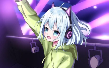 Аниме диджей