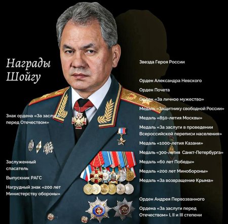 Шойгу сергей кужугетович медали