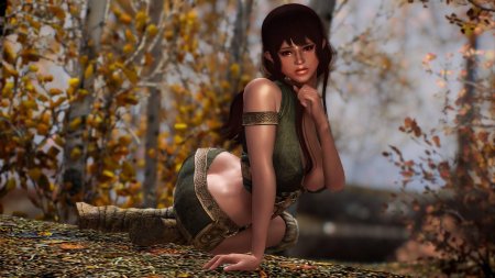 Скайрим компаньоны эльфийка