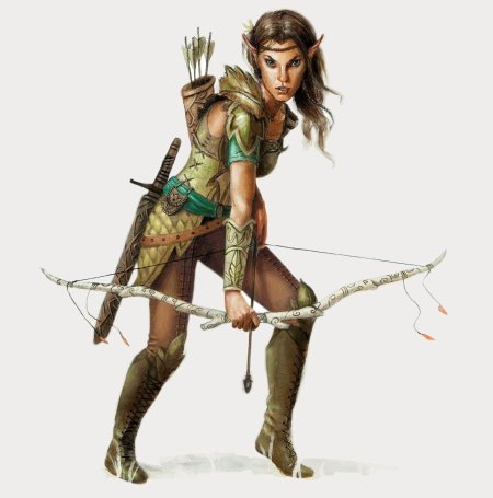 Полуэльф днд